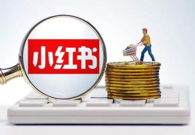 小红书粉丝多的好处介绍 